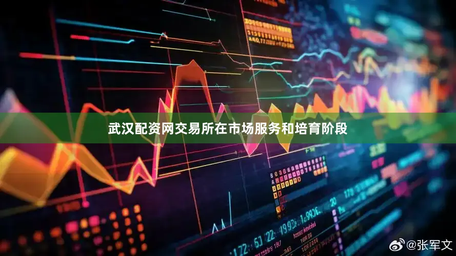 武汉配资网交易所在市场服务和培育阶段