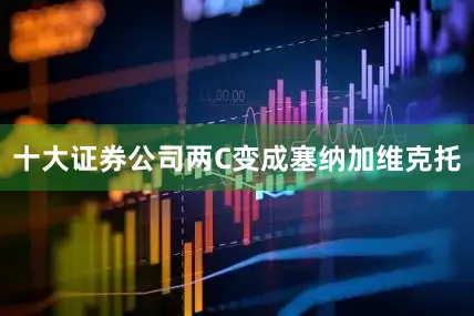 十大证券公司两C变成塞纳加维克托