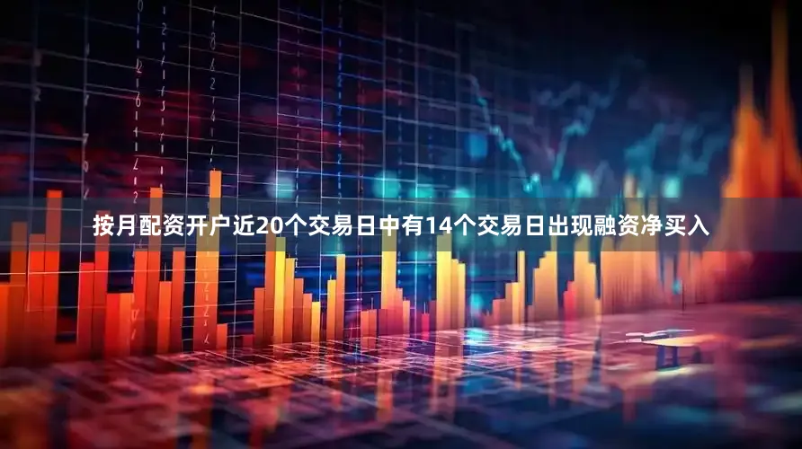 按月配资开户近20个交易日中有14个交易日出现融资净买入
